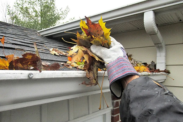 Gutter-Cleaning-leaves